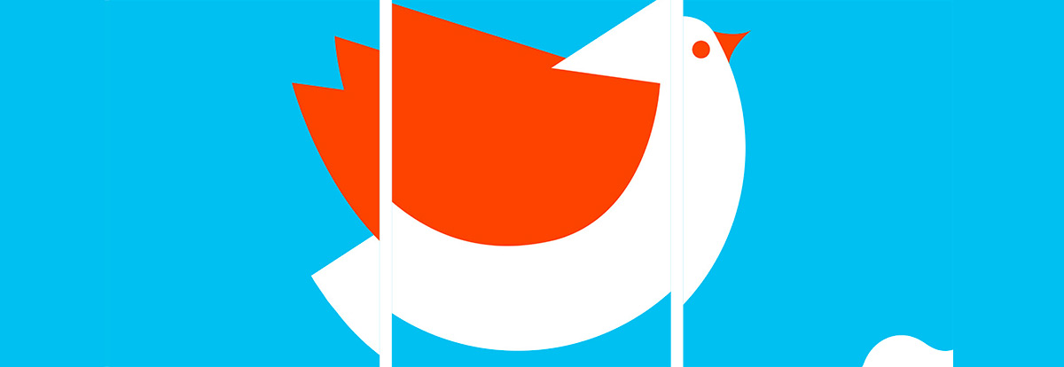 à hauteur de bébé: temps fort des bibliothèques en novembre décembre