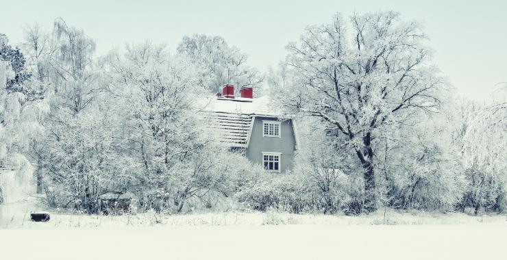 Une maison dans la forêt finlandaise (CC0 domaine public)