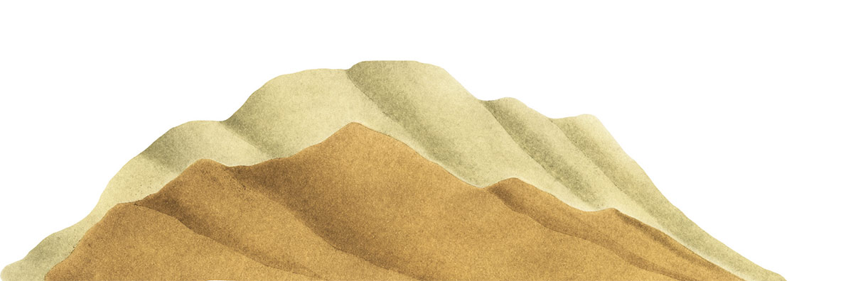 Illustration de Marie Dorléans