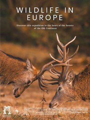 Affiche du film Faune européenne