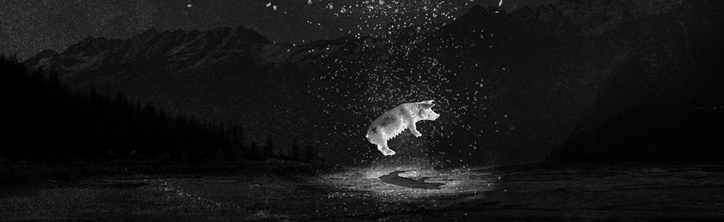 Temps fort Quand vient la nuit dans les bibliothèques de Paris