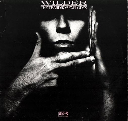 Wilder | The Teardrop explodes