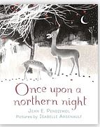 Once upon a northern night | Jean E  Pendziwol. Auteur