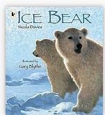 Ice bear | Nicola Davies (1958-....). Auteur