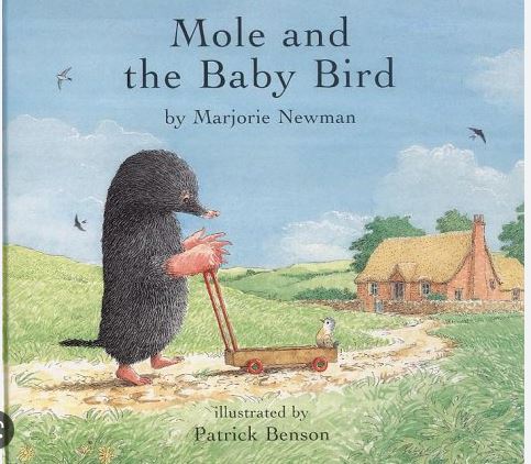 Mole and the baby bird | Marjorie Newman. Auteur