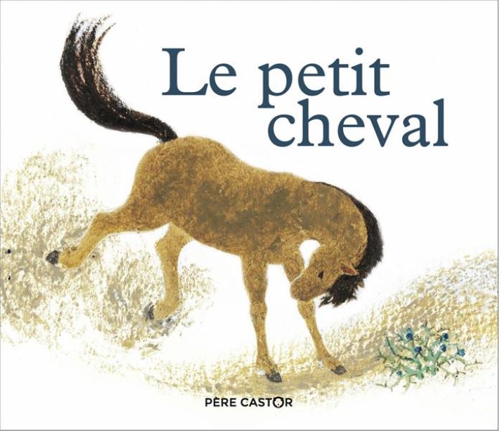 Le petit cheval et le vieux chameau | Andrée-Paule Fournier (1939-....). Auteur