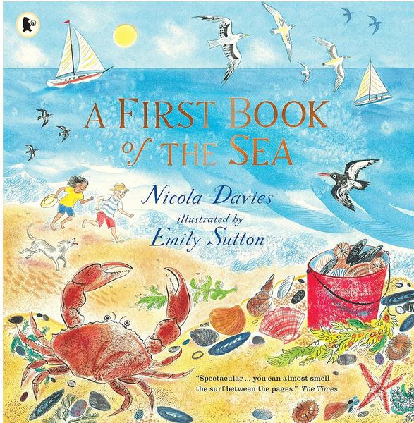 A first book of the sea | Nicola Davies (1958-....). Auteur