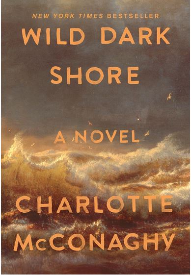 Wild dark shore | Charlotte McConaghy. Auteur