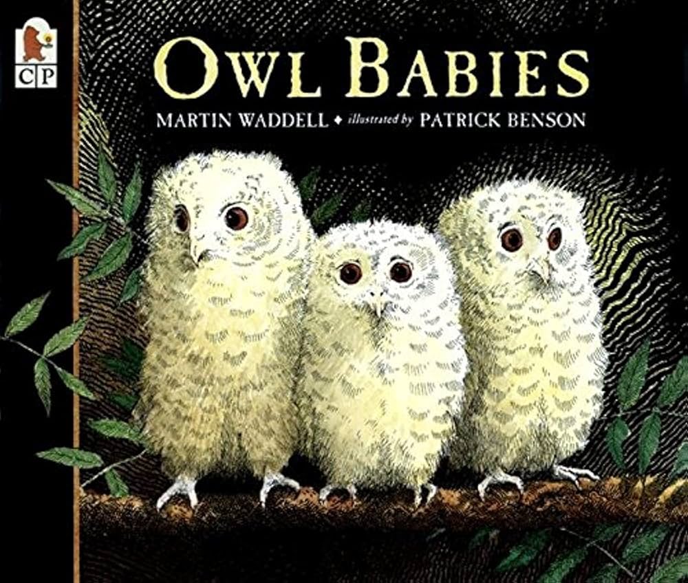 Owl babies | Martin Waddell (1941-....). Auteur