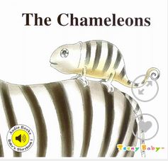 The Chameleons | Jia He. Auteur