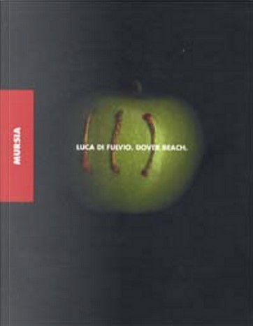 Dover beach | Luca Di Fulvio (1957-....). Auteur
