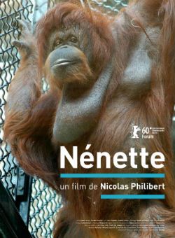 Nénette de Nicolas Philibert