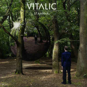 Stamina | Vitalic. Compositeur. Instrument électronique