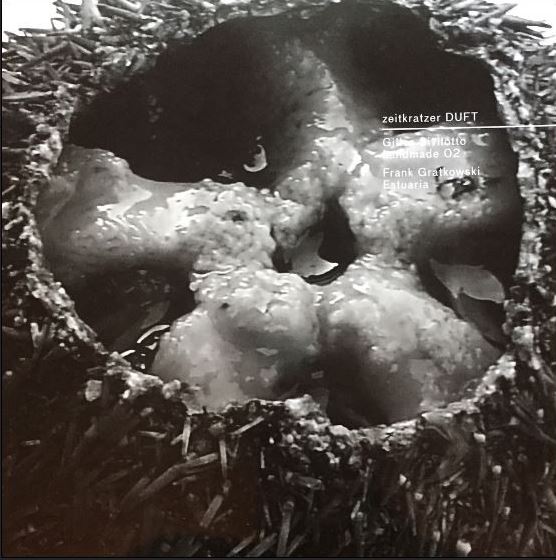 Duft | Zeitkratzer. Orchestre