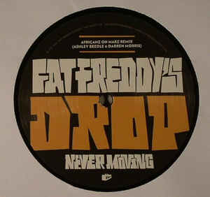 Mother Mother. Never Moving | Fat Freddys drop. Musicien